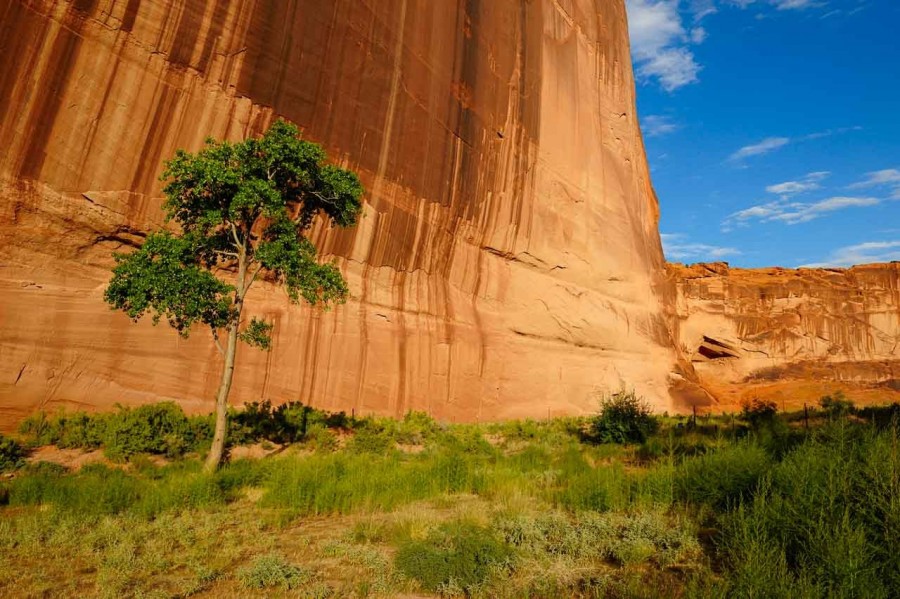 Landscape of Canyon de Chelly in Arizona. Amar Guillen, Photogra Landscape of Canyon de Chelly in Arizona. Amar Guillen, Photogra