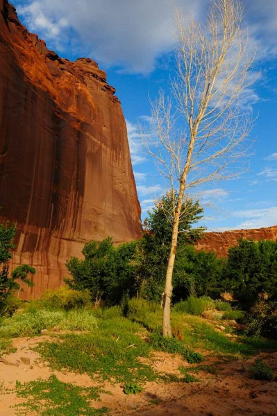 Landscape of Canyon de Chelly in Arizona. Amar Guillen, Photogra Landscape of Canyon de Chelly in Arizona. Amar Guillen, Photogra