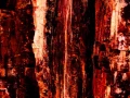 Photo abstraite réalisée sur une scène naturelle.