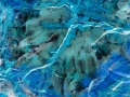 Photo abstraite réalisée sur une scène naturelle.