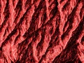 Photo abstraite réalisée sur une scène naturelle.