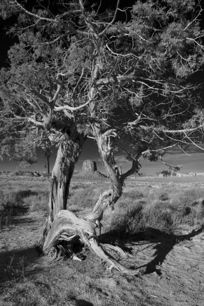 Landscape in black and white of Monument Valley in Arizona in Un Landscape in black and white of Monument Valley in Arizona in Un