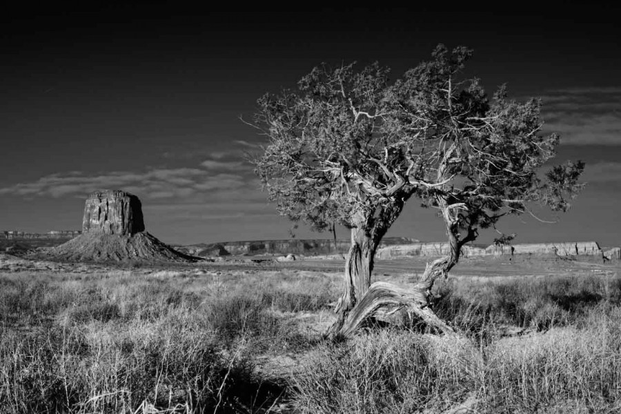 Landscape in black and white of Monument Valley in Arizona in Un Landscape in black and white of Monument Valley in Arizona in Un