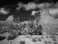 Paysage de Valley of the Gods dans l'Utah en noir et blanc.