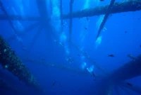 Blog Gallery - Diving on a oil rig in the Gulf of Mexico