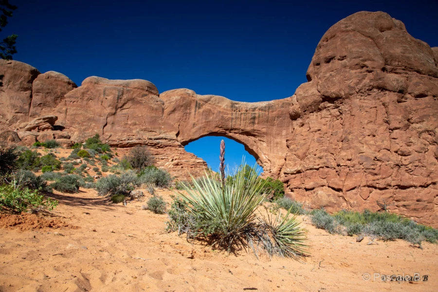005 pascale stage utah mai 2019 005 pascale stage utah mai 2019