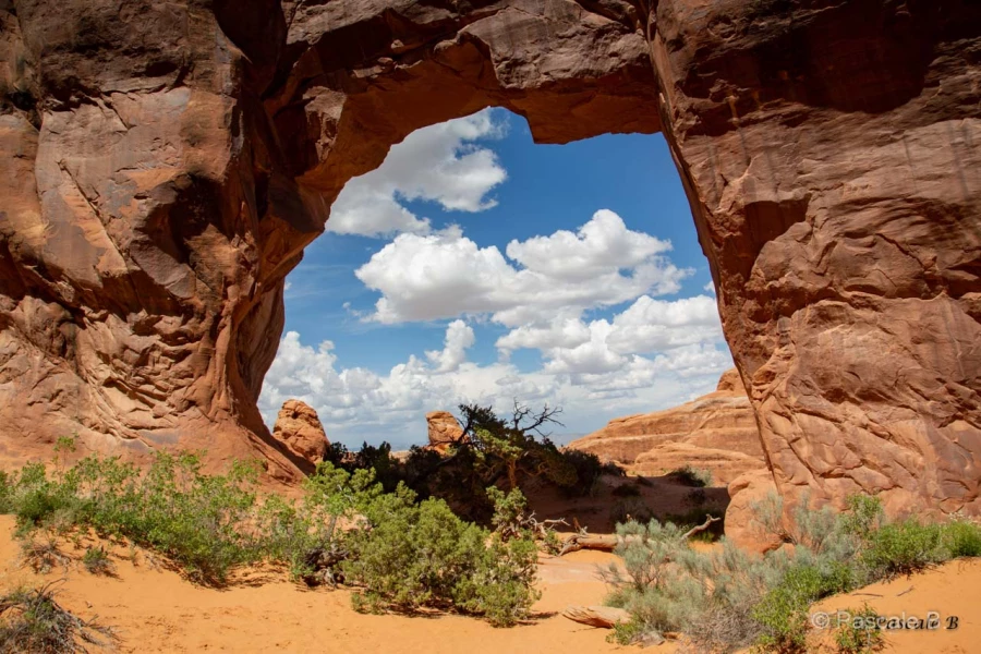 008 pascale stage utah mai 2019 008 pascale stage utah mai 2019
