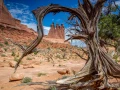 010 pascale stage utah mai 2019