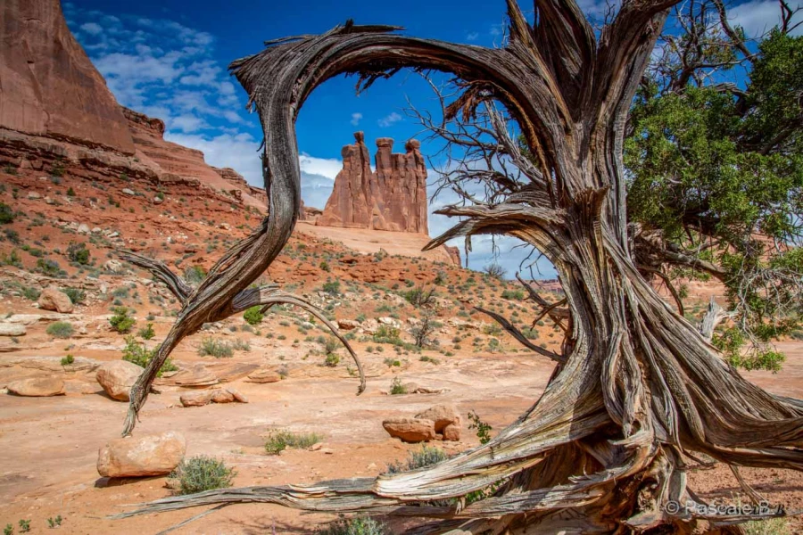 010 pascale stage utah mai 2019 010 pascale stage utah mai 2019