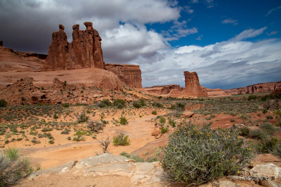 011 pascale stage utah mai 2019 011 pascale stage utah mai 2019