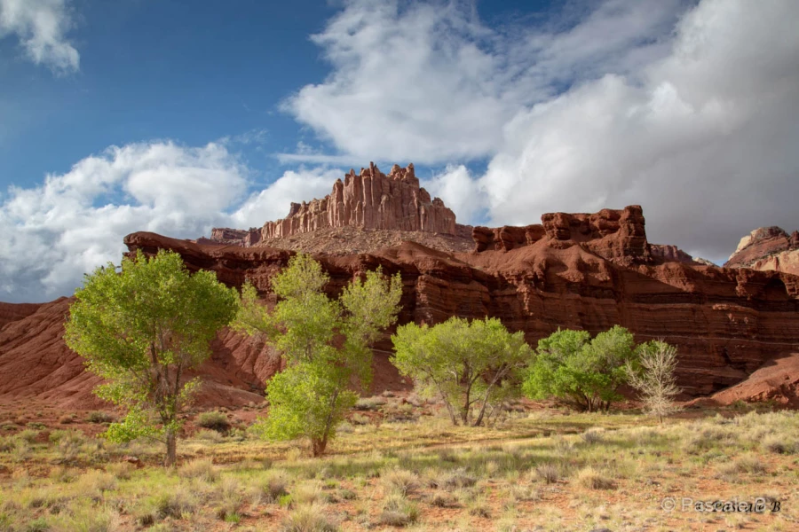 013 pascale stage utah mai 2019 013 pascale stage utah mai 2019