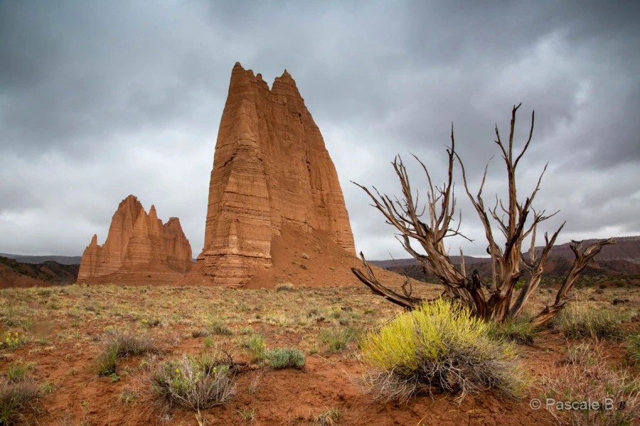 014 pascale stage utah mai 2019 014 pascale stage utah mai 2019