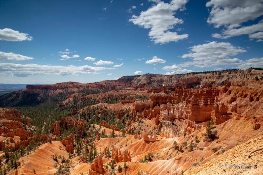 015 pascale stage utah mai 2019 015 pascale stage utah mai 2019