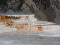 006 sylvie stage yellowstone aout 2019