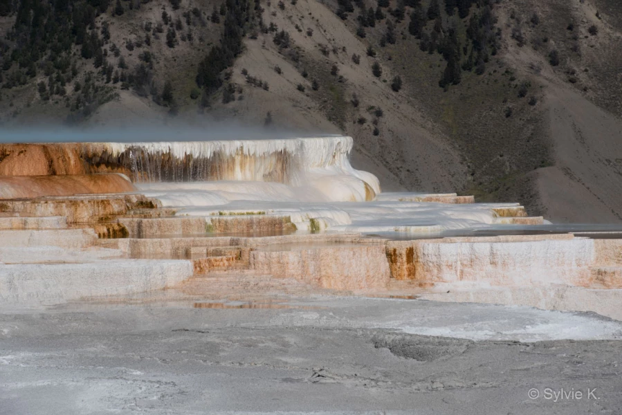 006 sylvie stage yellowstone aout 2019 006 sylvie stage yellowstone aout 2019