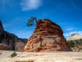 017 pascale stage utah mai 2019