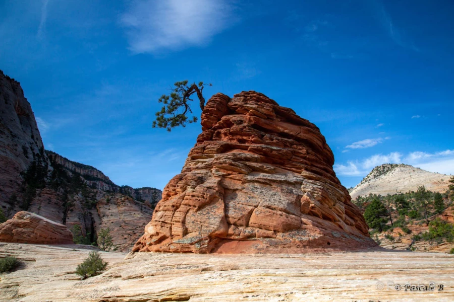 017 pascale stage utah mai 2019 017 pascale stage utah mai 2019
