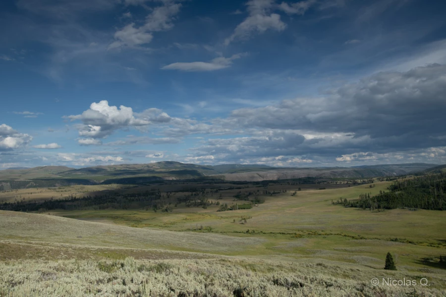018 nicolas stage yellowstone aout 2019 018 nicolas stage yellowstone aout 2019