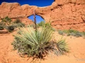 018 patrick stage utah mai 2019