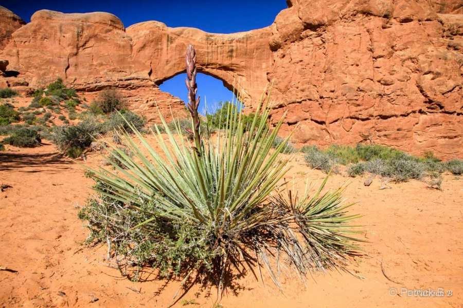 018 patrick stage utah mai 2019 018 patrick stage utah mai 2019