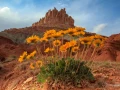 020 patrick stage utah mai 2019