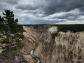 021 nicolas stage yellowstone aout 2019