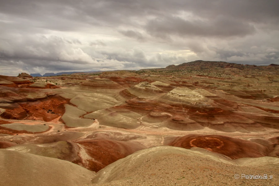 022 patrick stage utah mai 2019 022 patrick stage utah mai 2019