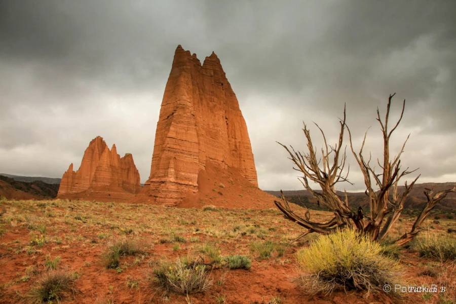023 patrick stage utah mai 2019 023 patrick stage utah mai 2019