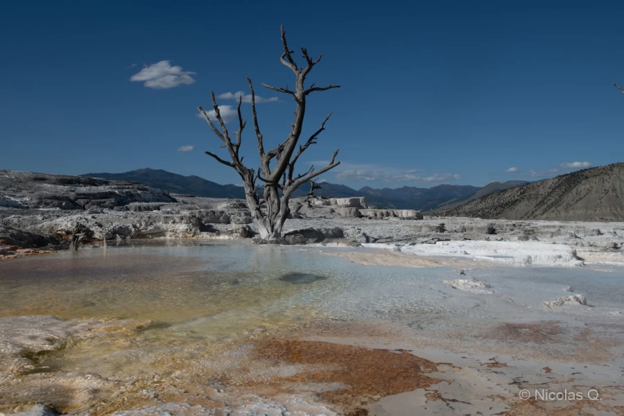 025 nicolas stage yellowstone aout 2019 025 nicolas stage yellowstone aout 2019