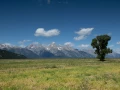 026 nicolas stage yellowstone aout 2019