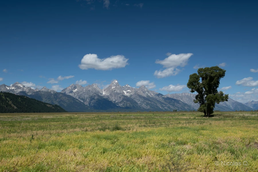 026 nicolas stage yellowstone aout 2019 026 nicolas stage yellowstone aout 2019