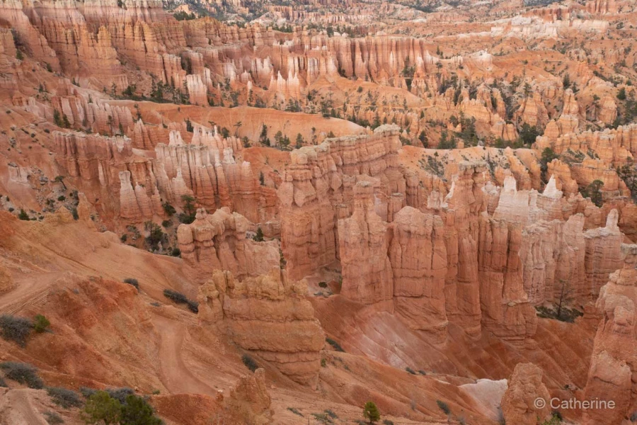027 catherine stage utah mai 2019 027 catherine stage utah mai 2019