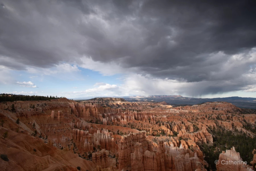 029 catherine stage utah mai 2019 029 catherine stage utah mai 2019