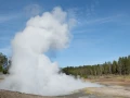 029 nicolas stage yellowstone aout 2019