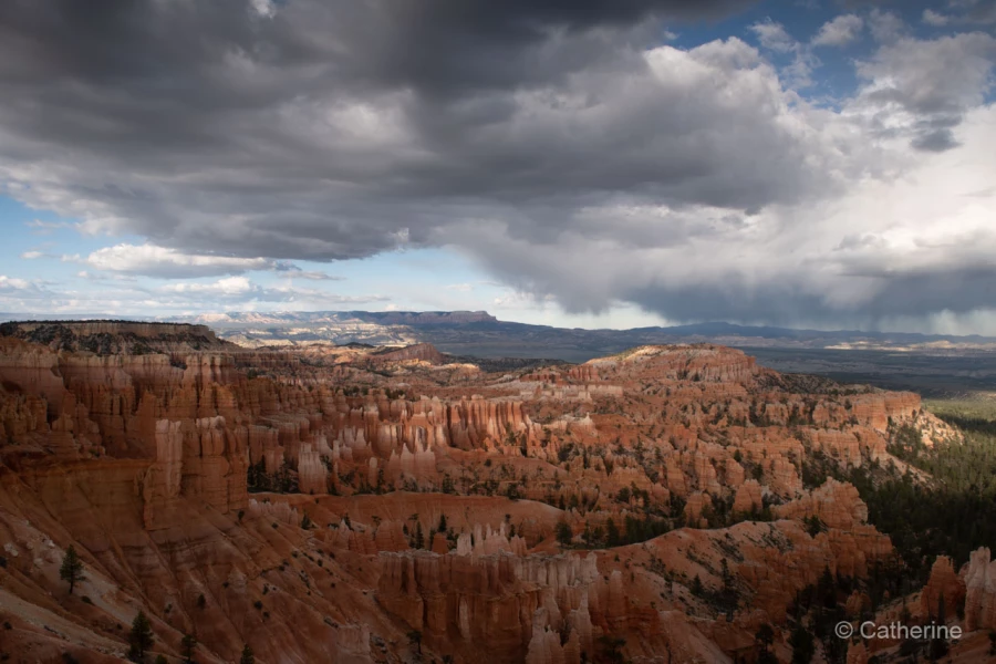 031 catherine stage utah mai 2019 031 catherine stage utah mai 2019