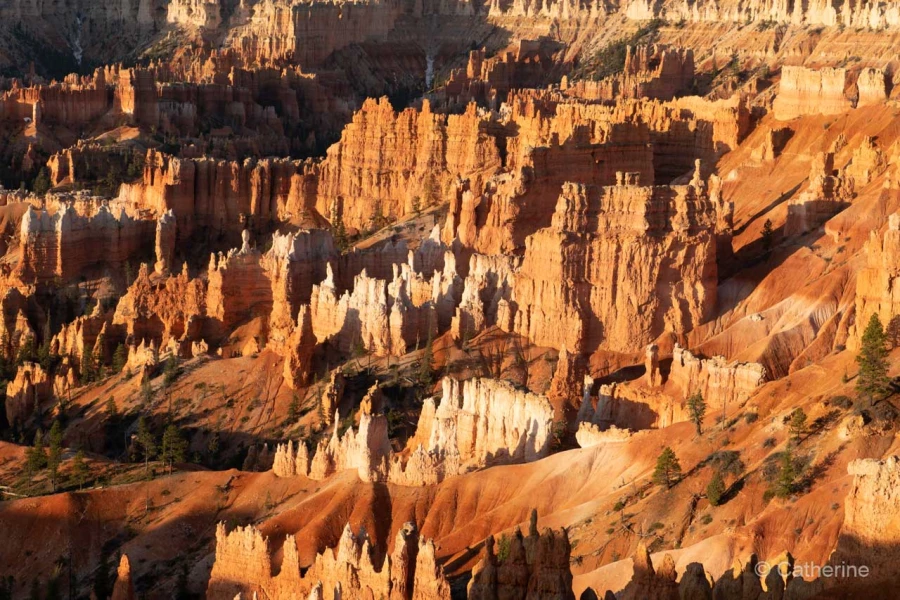 033 catherine stage utah mai 2019 033 catherine stage utah mai 2019