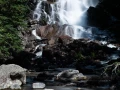 033 nicolas stage yellowstone aout 2019