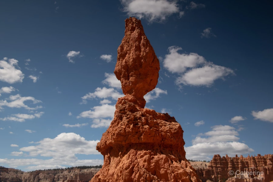 034 catherine stage utah mai 2019 034 catherine stage utah mai 2019