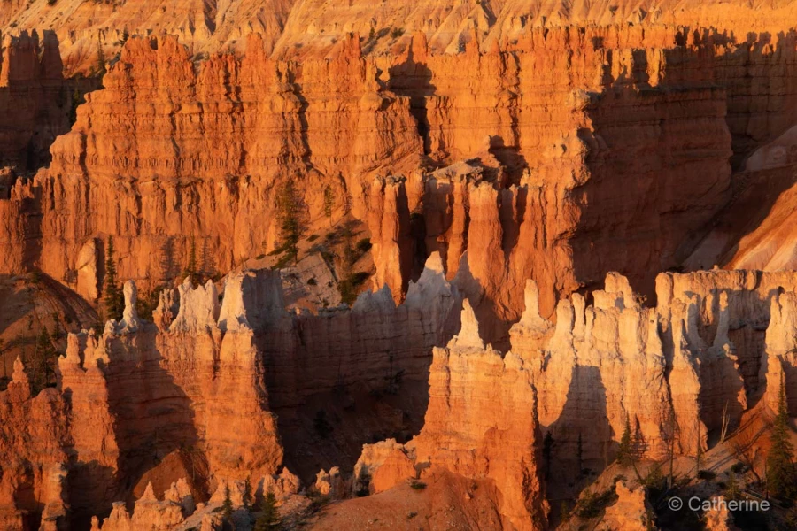 035 catherine stage utah mai 2019 035 catherine stage utah mai 2019