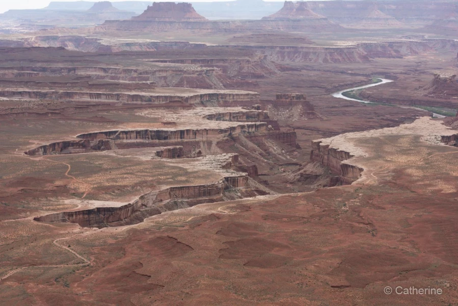 036 catherine stage utah mai 2019 036 catherine stage utah mai 2019
