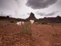 038 catherine stage utah mai 2019