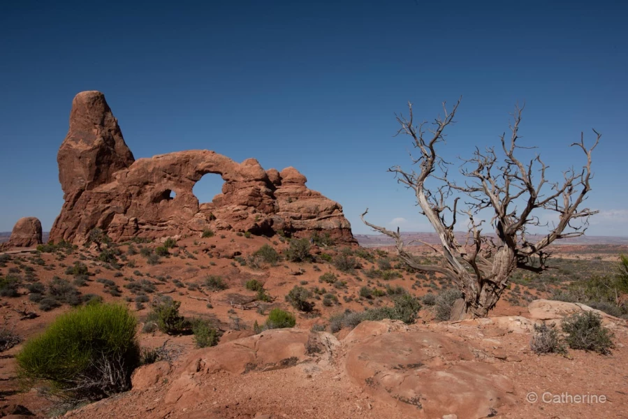 039 catherine stage utah mai 2019 039 catherine stage utah mai 2019
