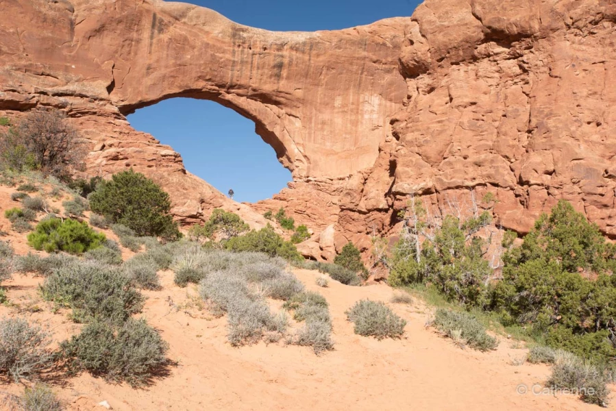 040 catherine stage utah mai 2019 040 catherine stage utah mai 2019