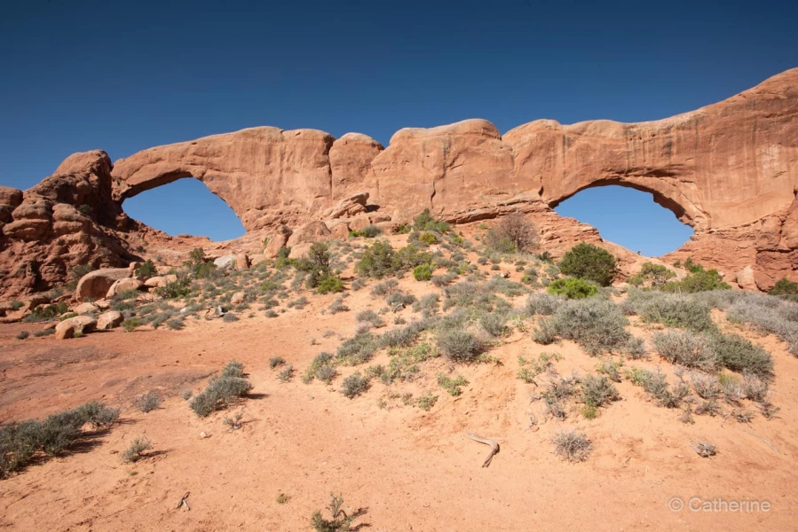 041 catherine stage utah mai 2019 041 catherine stage utah mai 2019