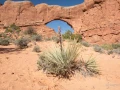 042 catherine stage utah mai 2019