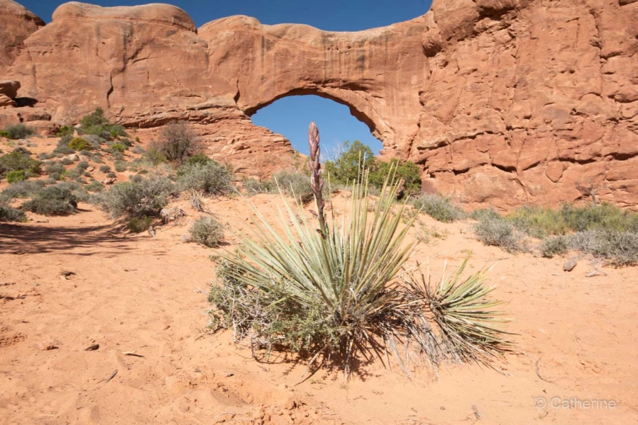 042 catherine stage utah mai 2019 042 catherine stage utah mai 2019