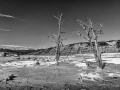 050 serge stage yellowstone aout 2019