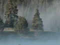 066 eliane stage yellowstone aout 2019