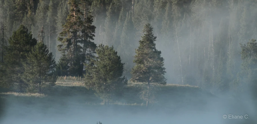 066 eliane stage yellowstone aout 2019 066 eliane stage yellowstone aout 2019