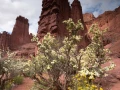 051 catherine stage utah mai 2019